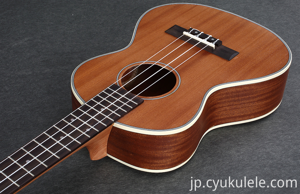 ukulele23 ukulele23